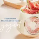 Sorbetière Et Yaourtière Électrique 1Litre